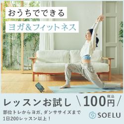 soeluバナー